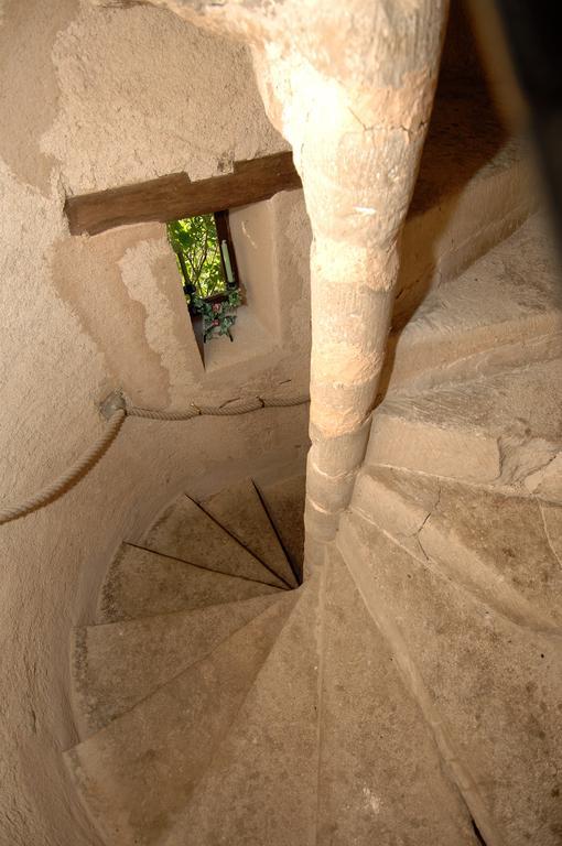 Chateau Du Max Le Theil  Стая снимка